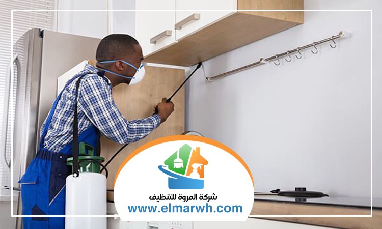 شركة مكافحة حشرات في أم هرير
