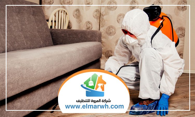شركة مكافحة حشرات في القصيص