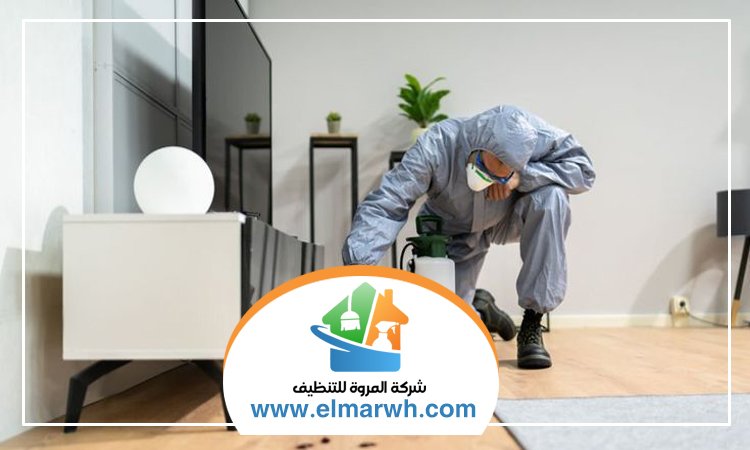 شركة مكافحة حشرات في القصيص