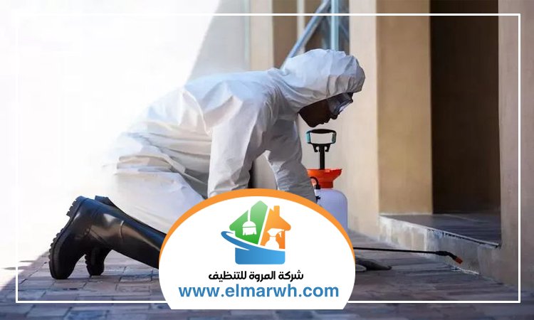شركة مكافحة حشرات في الحمرية