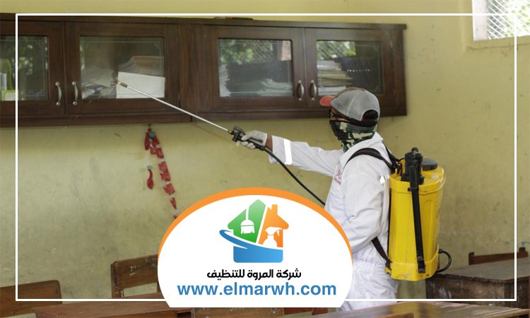شركة مكافحة حشرات في دبي