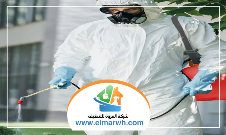 شركة مكافحة حشرات في دبي