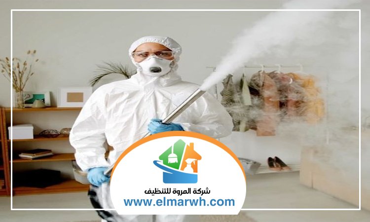 شركة مكافحة حشرات في الحمرية