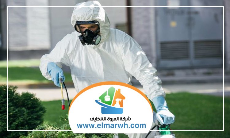 شركة مكافحة حشرات في الحمرية