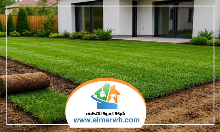 تركيب عشب في عجمان
