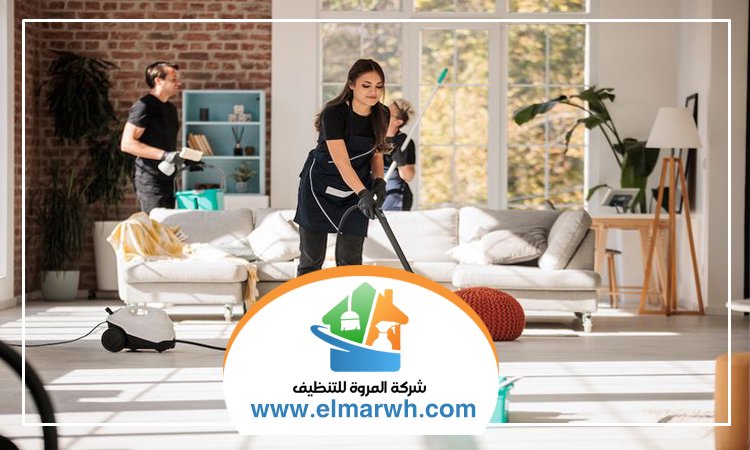 شركة تنظيف