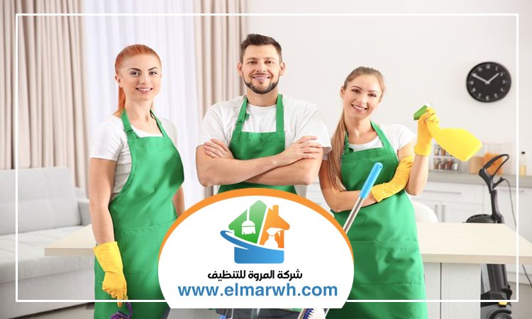 شركة تنظيف في البرشاء