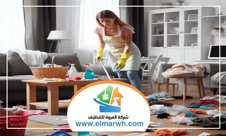 شركة تنظيف في البحيرات