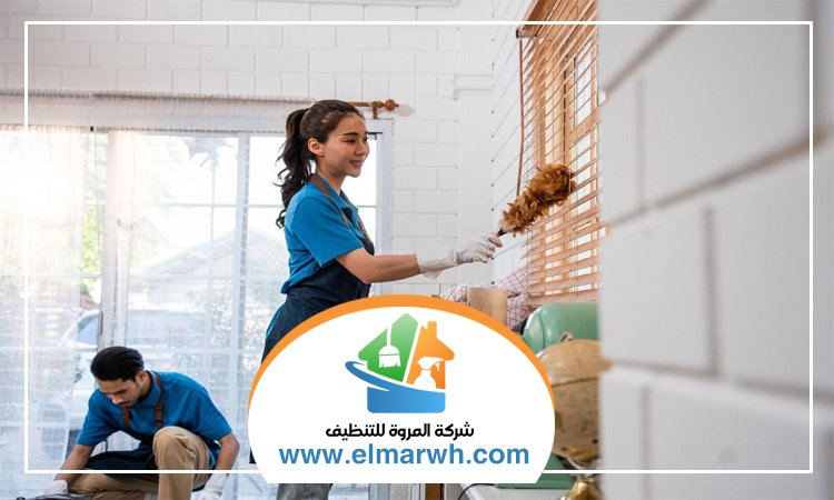 شركة تنظيف