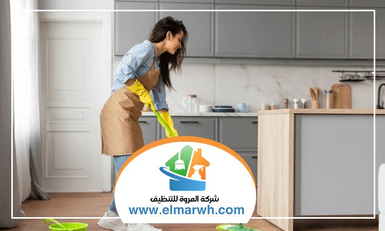 شركة تنظيف في المنخول