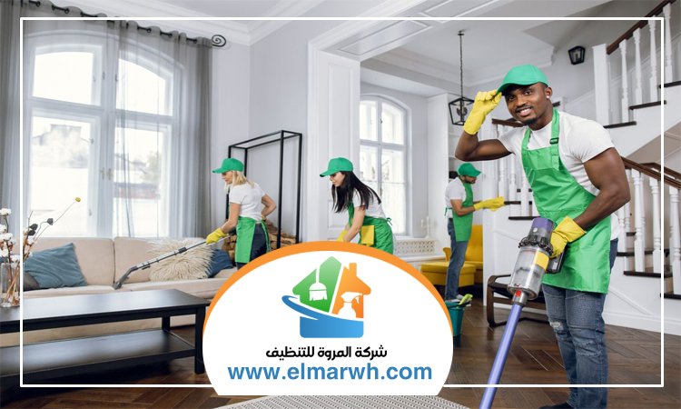 شركة تنظيف في الزيد