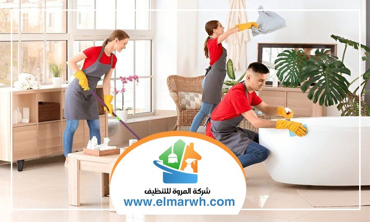 شركة تنظيف في المدام