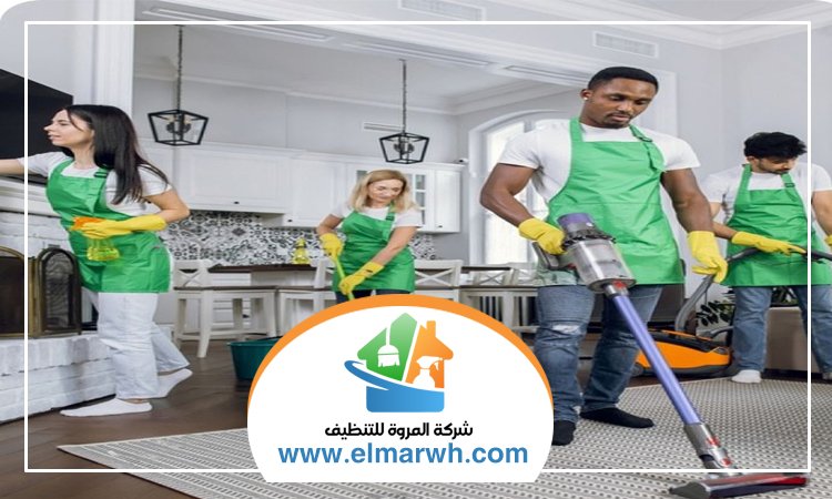 شركة تنظيف