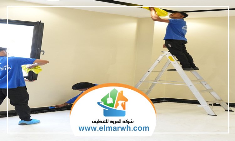 شركة تنظيف في البليدة
