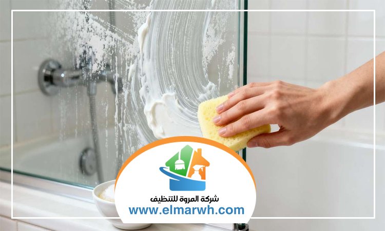 شركة تنظيف في مريشيد
