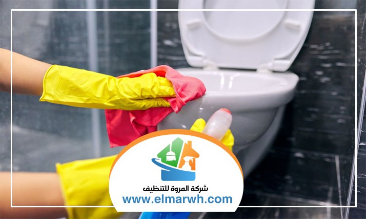 شركة تنظيف في سكمكم