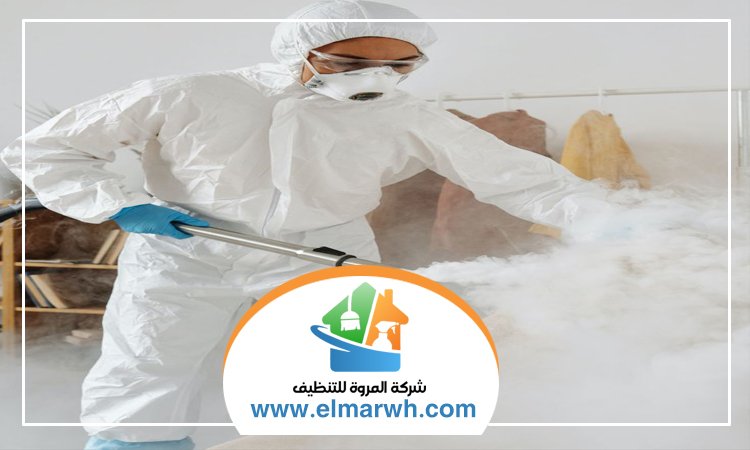 شركة مكافحة حشرات الورقاء