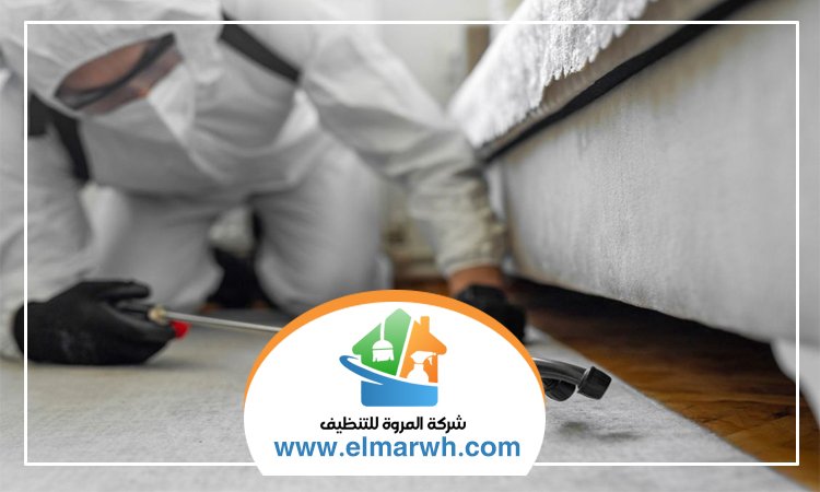 شركة مكافحة حشرات الورقاء