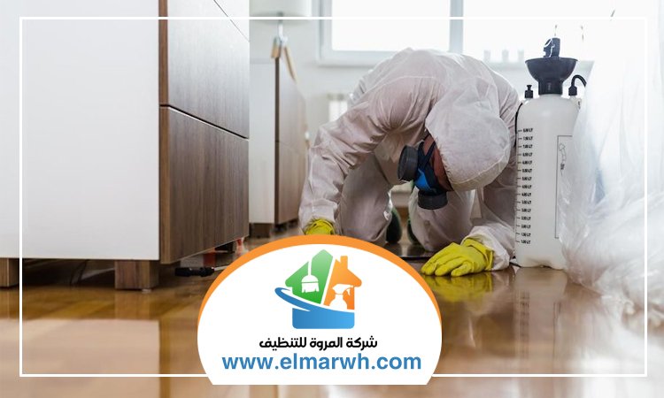 شركة مكافحة حشرات