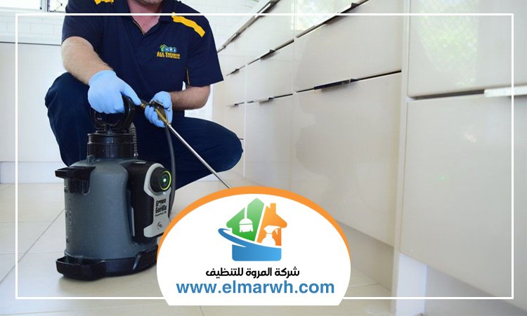 شركة مكافحة حشرات في الفرجان