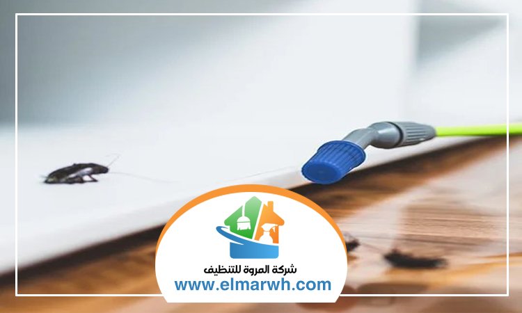 شركة مكافحة حشرات في الفرجان