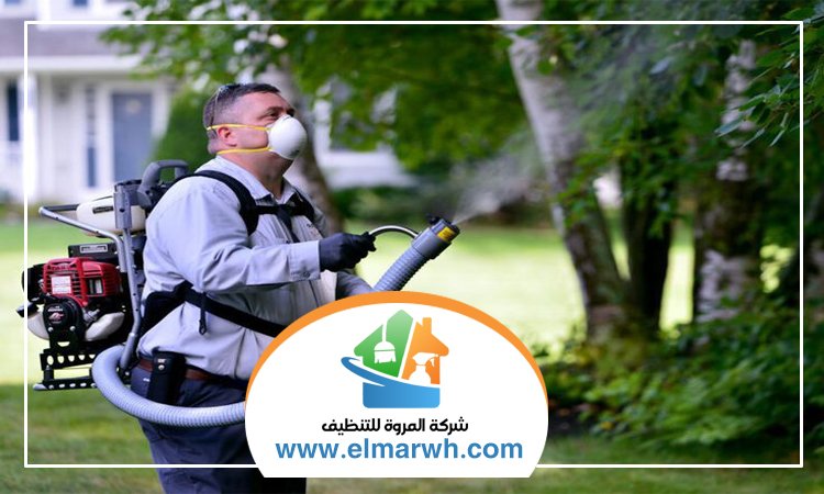 شركة مكافحة حشرات في الفرجان