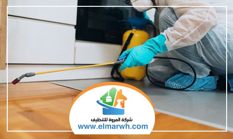 شركة مكافحة حشرات