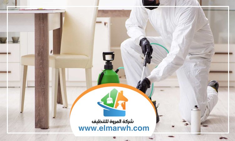 شركة مكافحة حشرات في القرهود