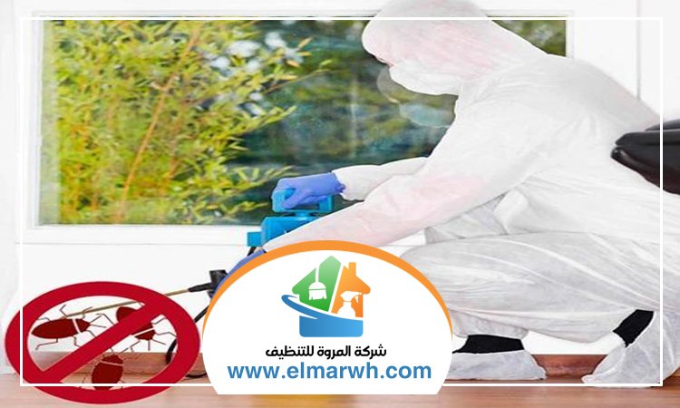 شركة مكافحة حشرات