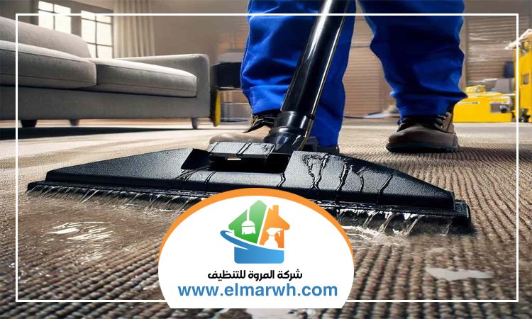 شركة تنظيف سجاد