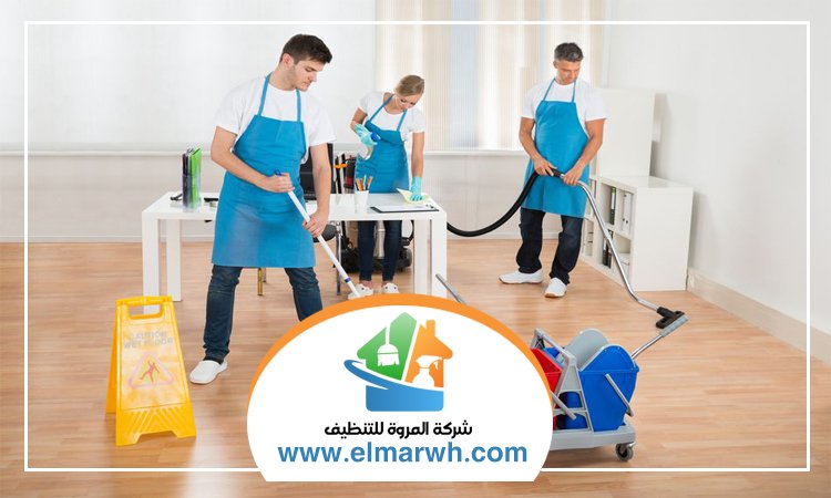 شركة تنظيف