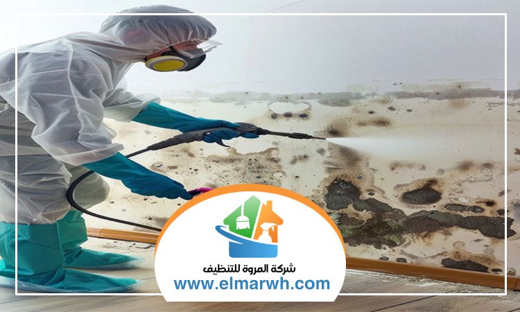شركة تنظيف حوائط في دبي