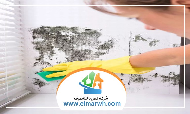 شركة تنظيف حوائط في دبي