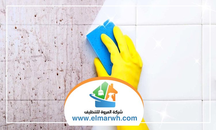 شركة تنظيف حوائط في الشارقة