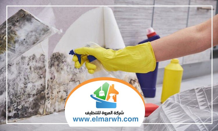 شركة تنظيف حوائط في الفجيرة