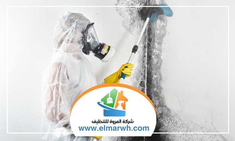 شركة تنظيف حوائط في الفجيرة