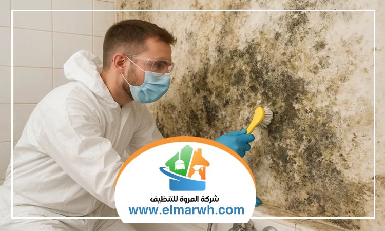 شركة تنظيف حوائط