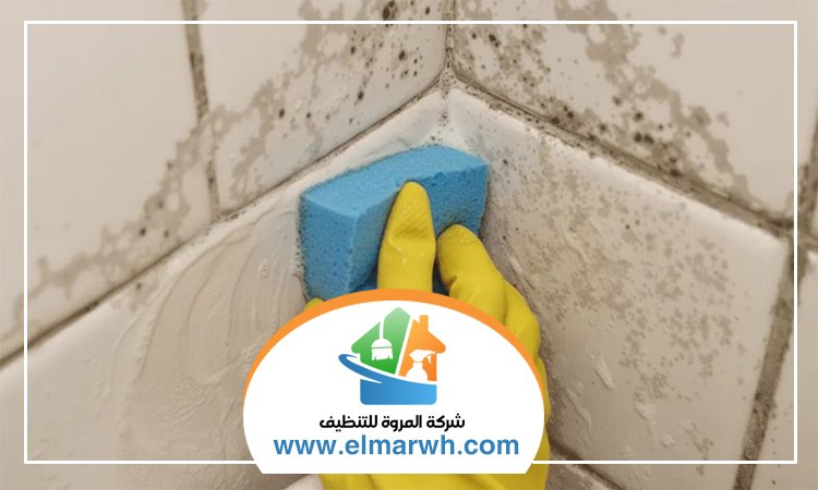 شركة تنظيف حوائط في راس الخيمة