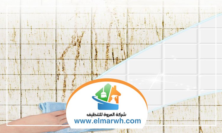 شركة تنظيف حوائط