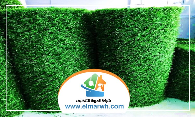 تركيب عشب في الفجيرة