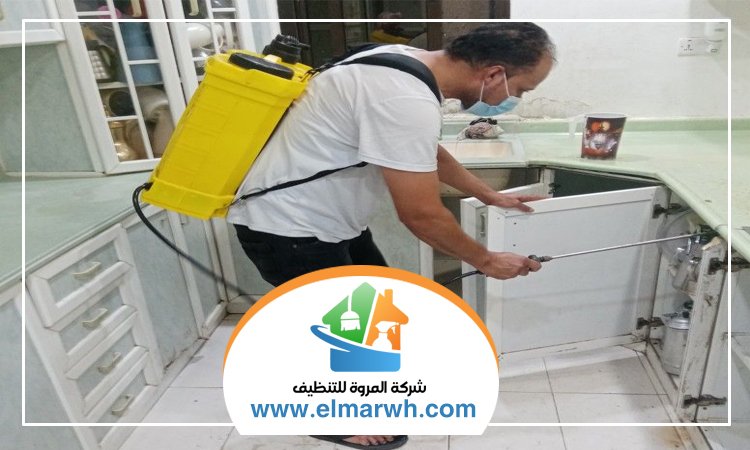 مكافحة حشرات المطبخ دبي