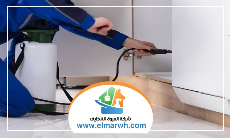 مكافحة حشرات المطبخ