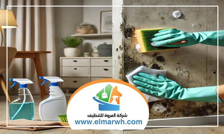 شركة تنظيف حوائط